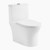 Toilette monopièce - DL-6639